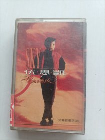 磁带伍思凯歌曲，包邮