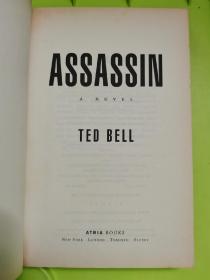 Assassin: A Novel