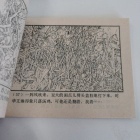 精品连环画套书：《龙洞擒贼》