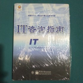 IT咨询指南