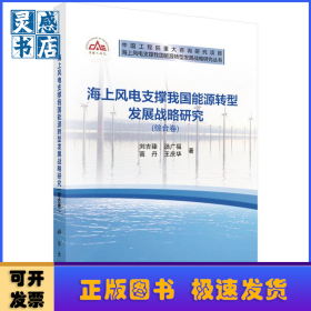 海上風電支撐我國能源轉型發(fā)展戰(zhàn)略研究(綜合卷)