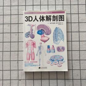 3D人体解剖图