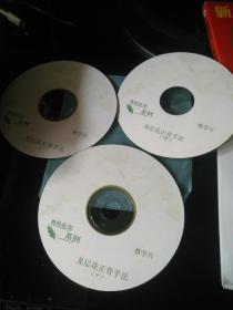 龍層花正骨手法/龍氏正脊療法3VCD