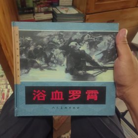 浴血罗霄