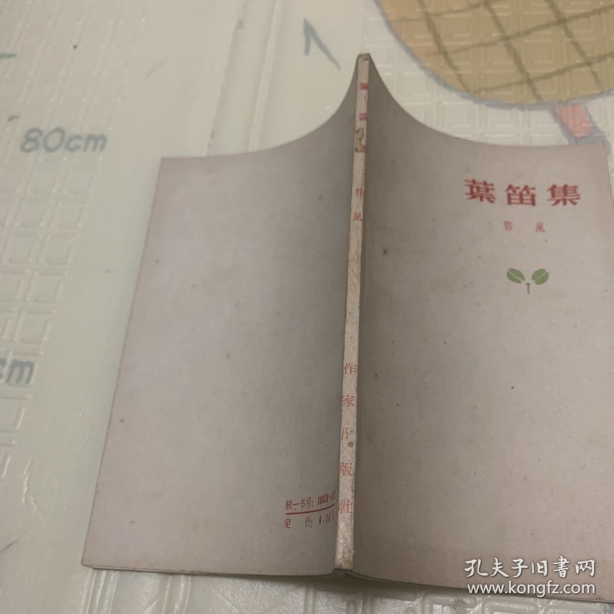 叶笛集