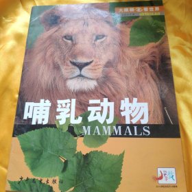 哺乳动物