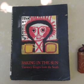BAKING IN THE SUN Visionary Images from the South黑人艺术家作品集