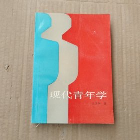 现代青年学