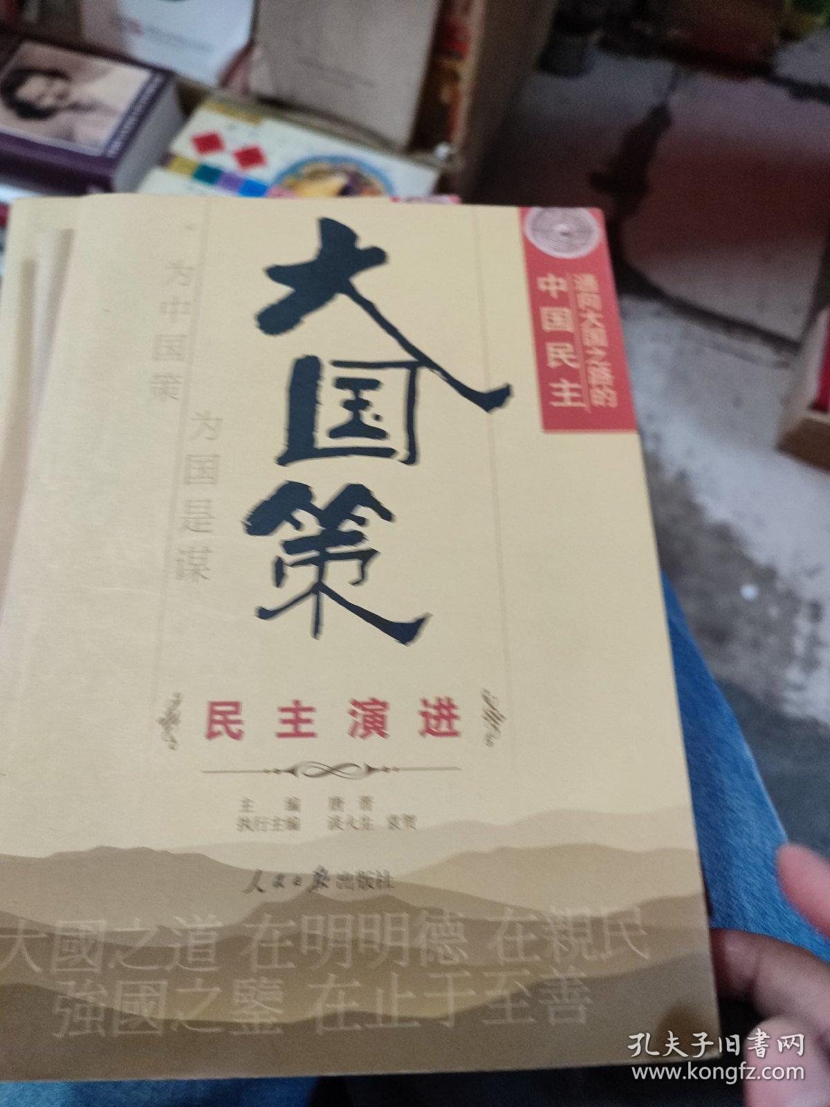 通向大国之路的中国模式 政治模式、民主演进，基层民主，增量式民主，公民社会，民主参与，党内民主，中国式民主，善治与体制共9本合售