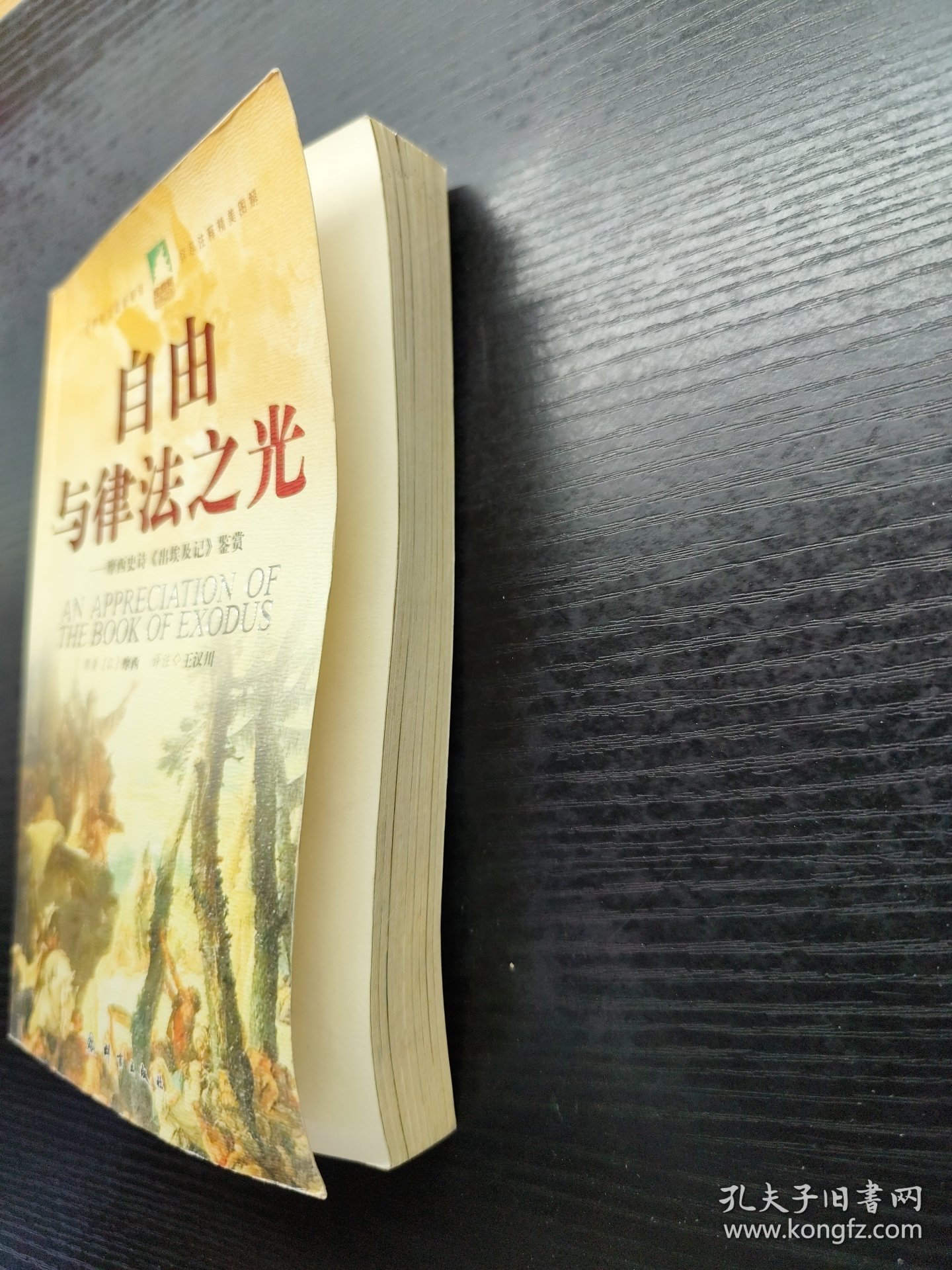 自由与律法之光