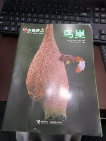小聪仔 科普 鸟巢