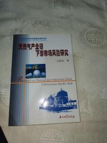 天然气产业链下游市场风险研究