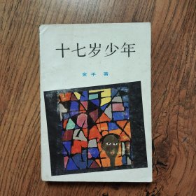 十七岁少年 32开一版一印（馆藏书）