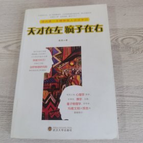 天才在左 疯子在右：国内第一本精神病人访谈手记