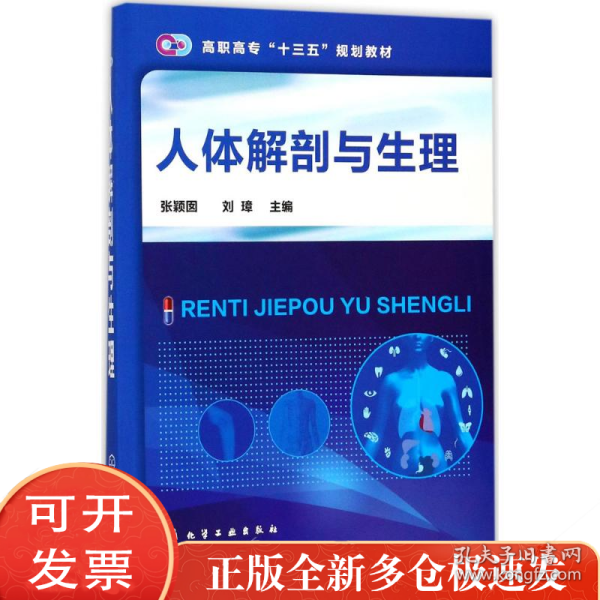 人体解剖与生理