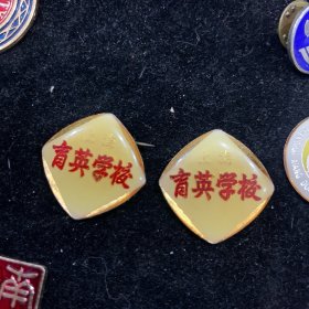 上海育英学校，校徽，一对
