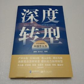 深度转型：大分化时代中国怎么办