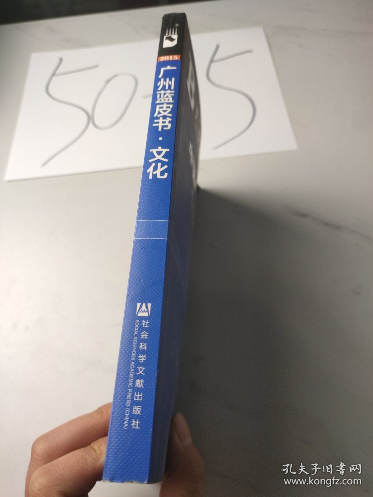 中国广州文化发展报告（2015）