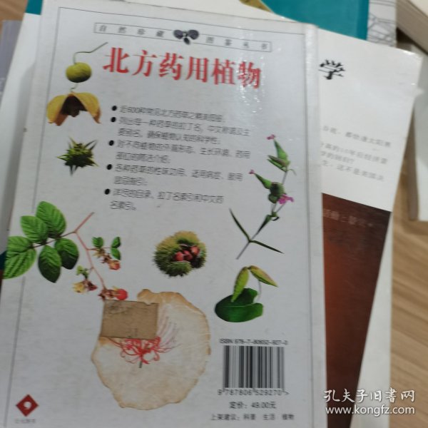 北方药用植物：近600种中国北方药用植物的彩色图鉴