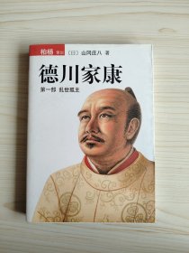 德川家康 第一部 ：乱世孤主