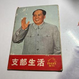 支部生活 革命样板戏画刊