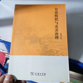 公益组织与灾害治理