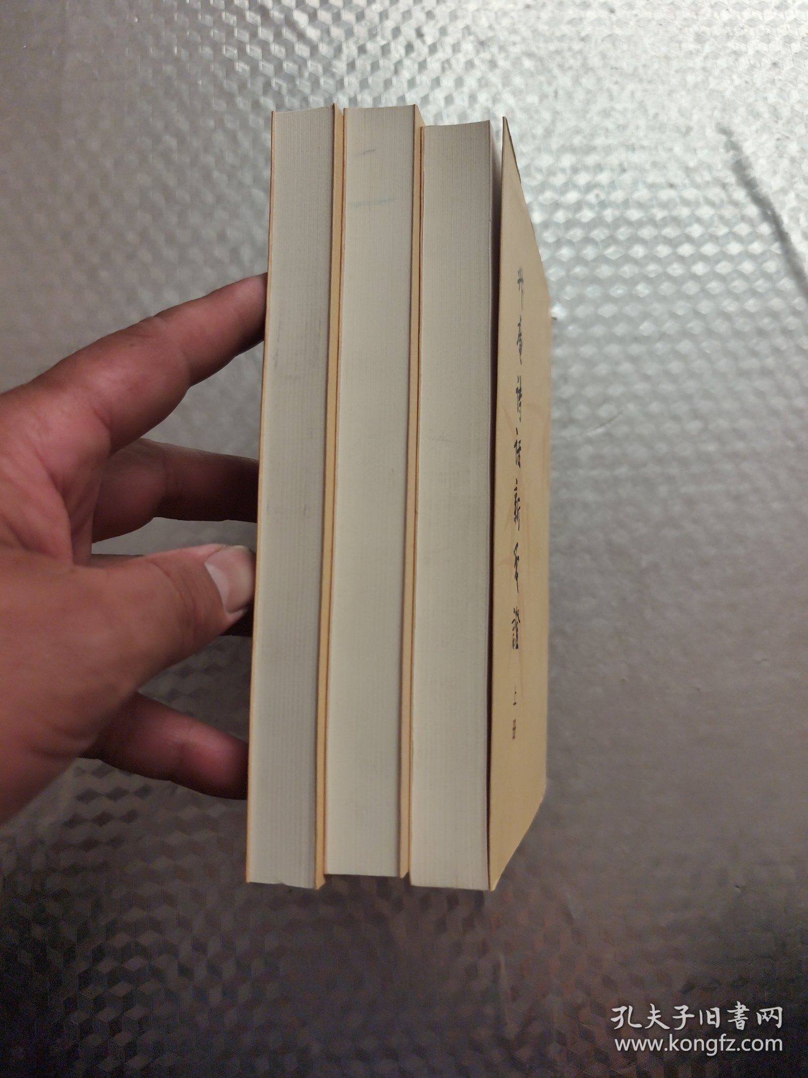 升庵诗话新笺证 (全三册)