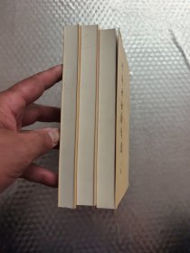 升庵诗话新笺证 (全三册)