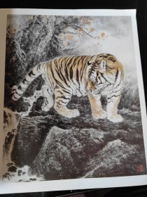 邢世靖工笔虎作品选