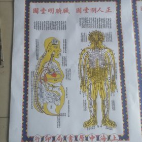 正人明堂图，脏腑明堂图，伏人明堂图，侧人明堂图，两张，77*55厘米