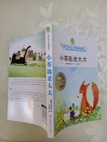 小茶匙老太太：全球儿童文学典藏书系