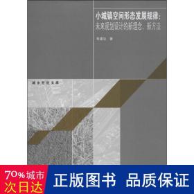 城乡世纪文库·小城镇空间形态发展规律：未来规划设计的新理念、新方法