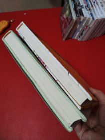 THE CONTINUITY OF AKIRA BY OTOMO KATSUHIRO（两本合售看图拍）