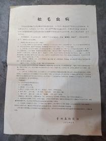 青田县防疫站《松毛虫病》（1973年8月）