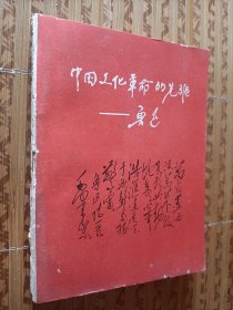 《中国文化革命的先驱鲁迅》