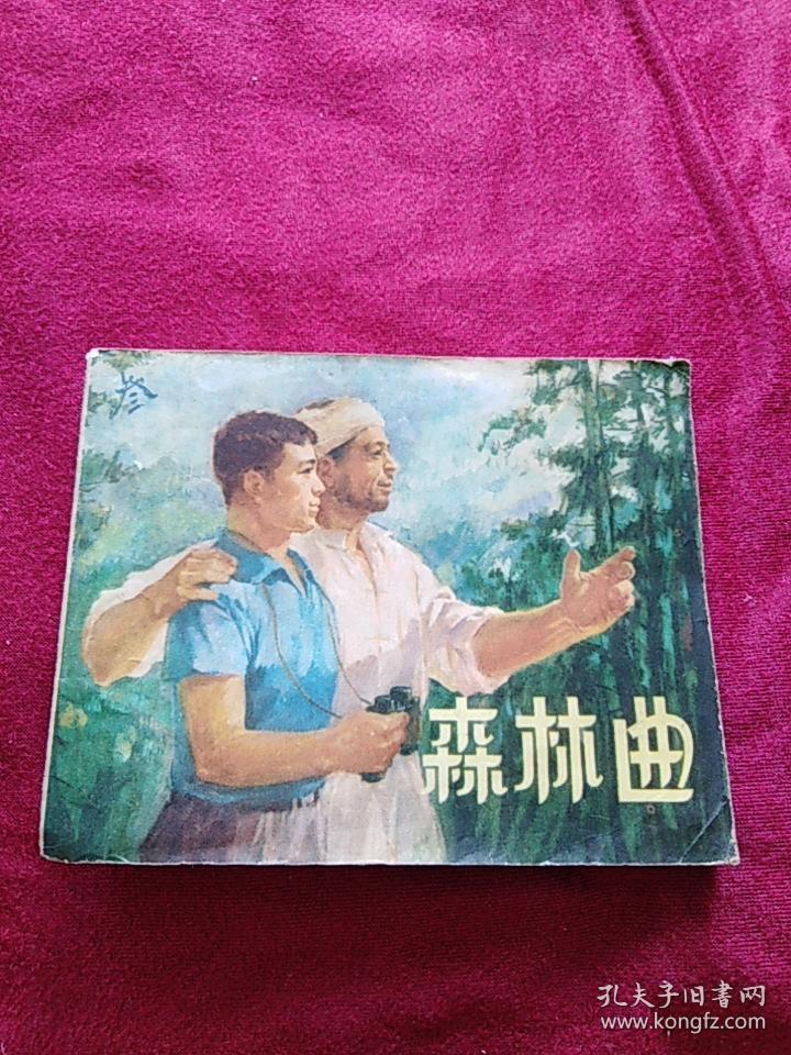 广阔天地大有作为系列连环画之：森林曲