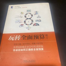 玩转全面预算魔方：世界500强企业CEO、财会界领军人物联袂推荐！财政部十大优秀CFO的实战经验，企业利润倍增图解版