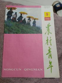 农村青年1991年第九期。