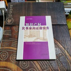 知识产权民事审判证据实务