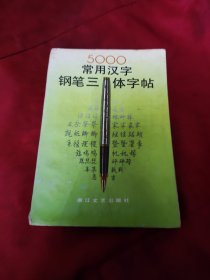 5000常用汉字钢笔三体字帖