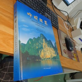 宁明年鉴2008.2009