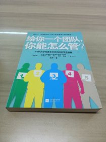 给你一个团队，你能怎么管？