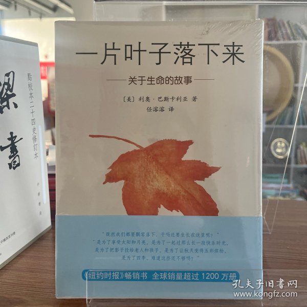 一片叶子落下来