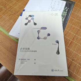 消费图像：当代文化中的风格策略