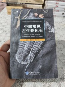 中国常见古生物化石 包邮