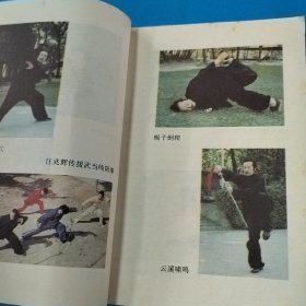 武当纯阳秘功