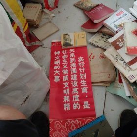 实行计划生育，是关系到我国建设高度的社会主义物质文明和精神文明的大事（条幅25x45）