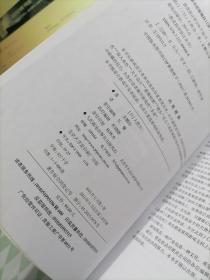 游戏设计的236个技巧：游戏机制、关卡设计和镜头窍门