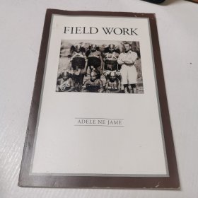 英文原版FIELD WORK田野工作