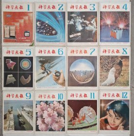 科学画报（1981 全12本）